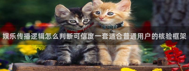 91吃瓜最新页面:娱乐传播逻辑怎么判断可信度一套适合普通用户的核验框架