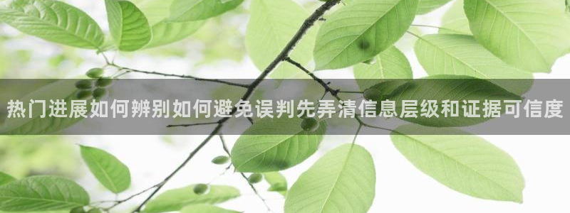 91吃瓜新闻资讯:热门进展如何辨别如何避免误判先弄清信息层级和证据可信度