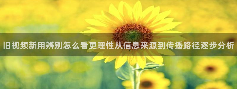 91吃瓜热门事件:旧视频新用辨别怎么看更理性从信息来源到传播路径逐步分析