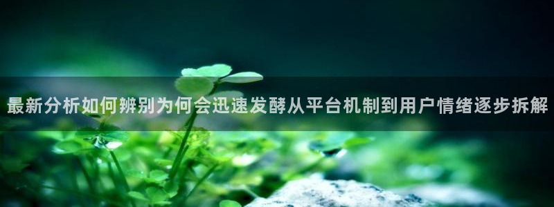 91吃瓜网络内容