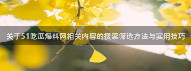 91吃瓜每日资讯：关于51吃瓜爆料网相关内容的搜索筛选方法与实用技巧